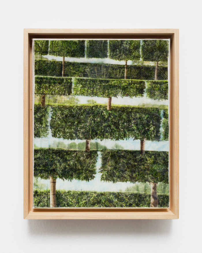 Daniel Healey tape  Ink transfer, tape, paper, on canvas