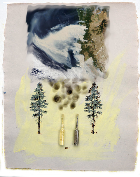 Daniel Ranalli  Wildfires Project Archival pigment print, pine pollen wash and vials of pollen and ash.