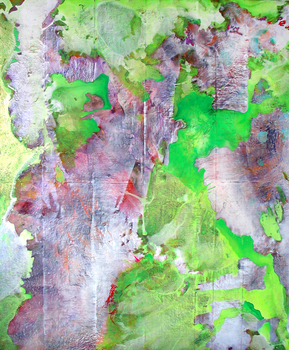 DANIEL ROSENBAUM Paintings 2011-2012 ink, acetate, paper, acrylic, canvas