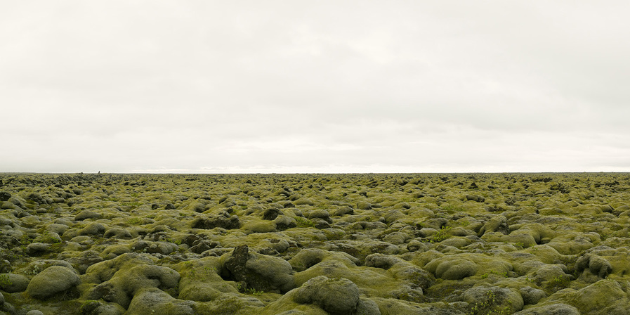Moss Covered Lava Field, Iceland, 2008