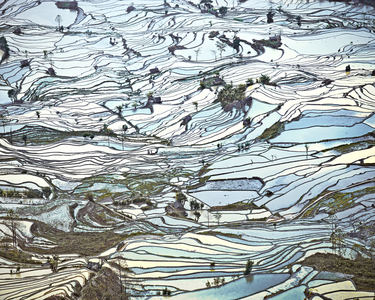 Rice Terraces, (Laohuzui II), Yunnan, China, 2013
