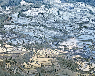 Rice Terraces, (Laohuzui I), Yunnan, China, 2013