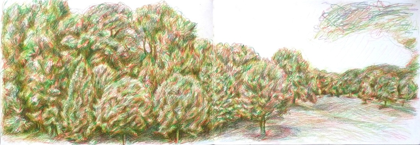 David Fratkin Drawings colored pencil/paper