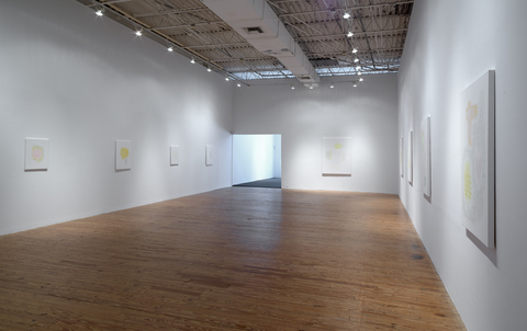 david kelley Texas Gallery Install 2016 