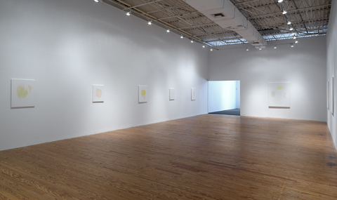 david kelley Texas Gallery Install 2016 