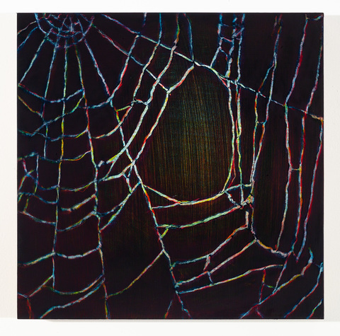 Spiderweb with Hole