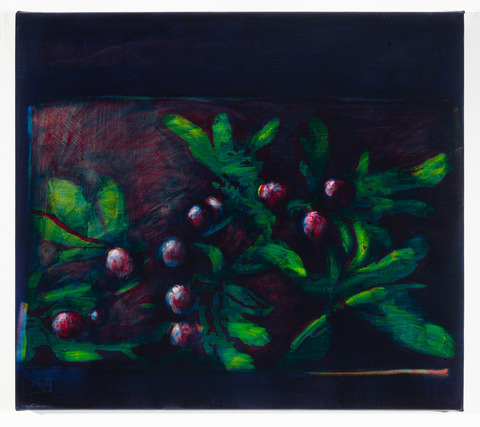 Studies for Colorful Paintings (Berries)