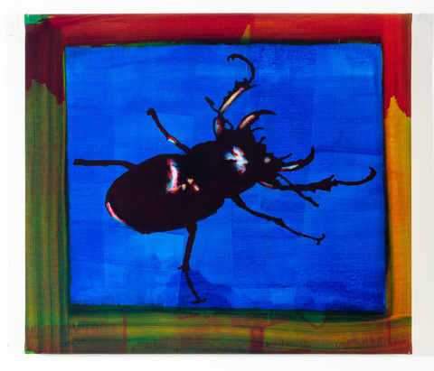 Studies for Colorful Paintings (Beetle)