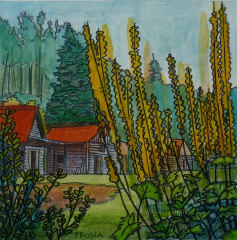 DeAnn L Prosia Watercolors with Colored Pencil Watercolor with colored pencil