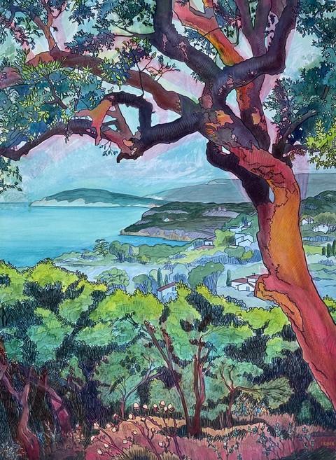 DeAnn L Prosia Watercolors with Colored Pencil Watercolor with colored pencil
