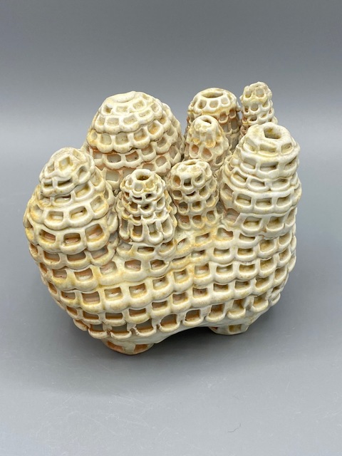 DeAnn L Prosia Ceramics Porcelain/Wood Fired