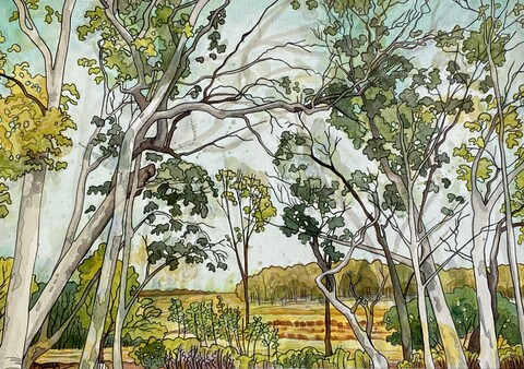 DeAnn L Prosia Watercolors with Colored Pencil Watercolor with Colored Pencil