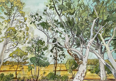 DeAnn L Prosia Watercolors with Colored Pencil Watercolor with Colored Pencil