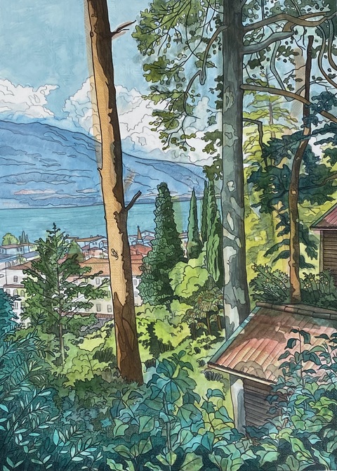 DeAnn L Prosia Watercolors with Colored Pencil Watercolor with Colored Pencil