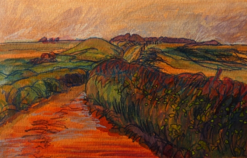 DeAnn L Prosia Watercolors with Colored Pencil watercolor with color pencil