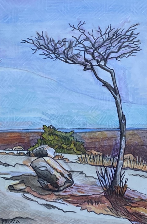DeAnn L Prosia Watercolors with Colored Pencil Watercolor with Colored Pencil