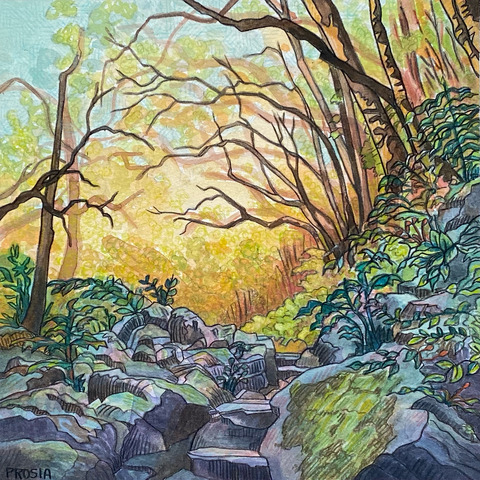DeAnn L Prosia Watercolors with Colored Pencil Watercolor with colored pencil