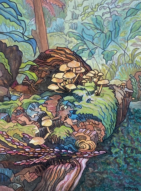 DeAnn L Prosia Watercolors with Colored Pencil Watercolor with colored pencil