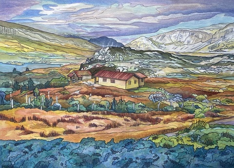 DeAnn L Prosia Watercolors with Colored Pencil Watercolor with colored pencil