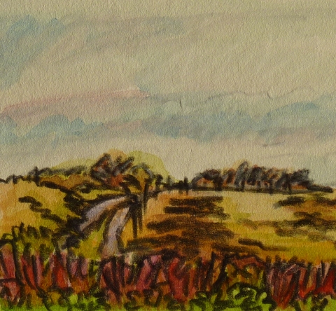 DeAnn L Prosia Watercolors with Colored Pencil watercolor with color pencil