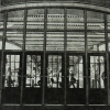 Carousel artwork image 113