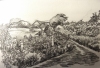 Carousel artwork image 52