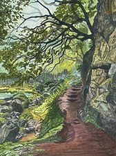 DeAnn L Prosia Watercolors with Colored Pencil Watercolor with Colored Pencil