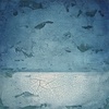 Carousel artwork image 1707