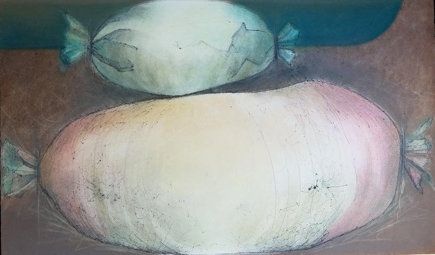 Debra Radke Pods / Pairs  Mono print with drypoint technique and pastel on Somerset paper