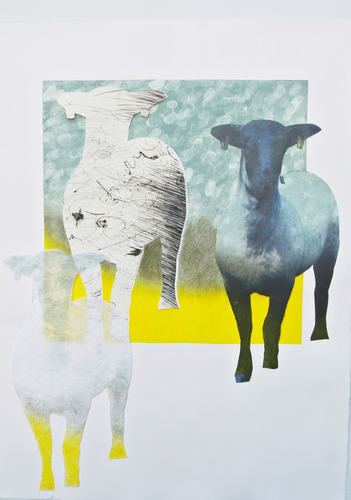 Debra Radke Sheep  Drypoint technique, monotype and digital print collaged on  Somerset