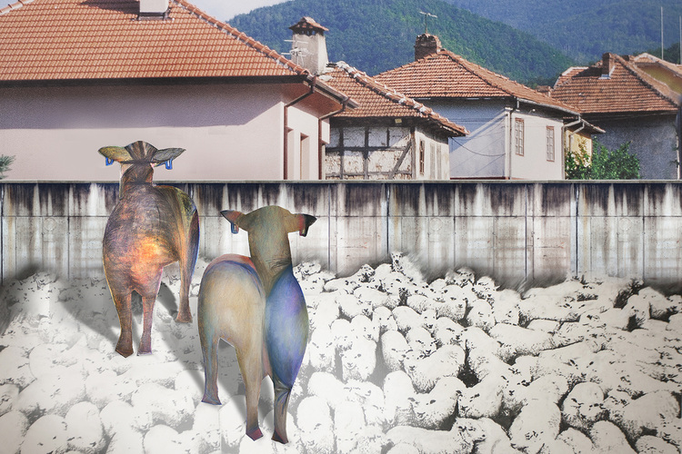 Debra Radke Sheep  Mixed Media - Charcoal, pastel and photography 