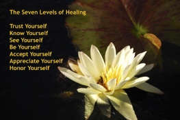 Diane Hardy Waller Seven Levels of Healing Meditation Cards photography