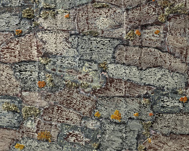 Dominick Anthony Takis  Image Gallery 3.   Iceland Landscape                       acrlic, tempera, lichen, mixed media in silicone caulking on canvas