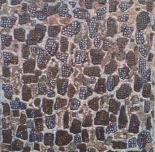 Dominick Anthony Takis Image Gallery , Miranda 2018 acrylic,tempera,lichen,sprayfoam,mixed media in silicone caulking on canvas
