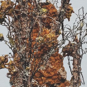 Dominick Anthony Takis Paintings 2021; 2022 Conditions Altered wood,paint,sprayfoam,lichen,branch,nails