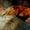 Carousel artwork image 291