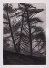Eileen Gillespie Works on Paper charcoal on paper