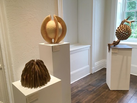 Elaine Lorenz Forms and Layers Exhibition 