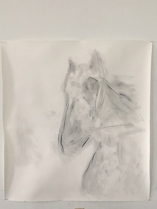 ELENI SMOLEN  Turin Horse Series 2020 