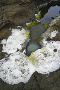 ELENI SMOLEN Photographs 2026 