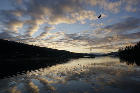 ELENI SMOLEN Photographs 2026 