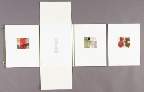Elisabeth Haly Meyer Apologia intaglio prints (3 of 22) with colophon