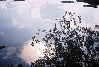 Reflection. Lake. Berlin 2019