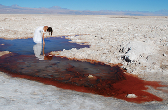 Salt Poetru, Desierto de Atacama. 
