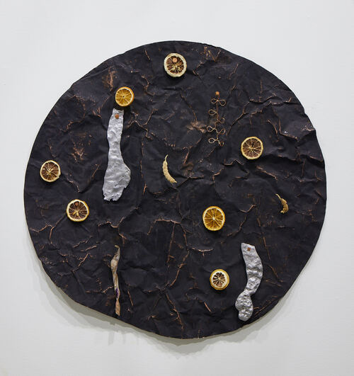 Elisa Lendvay Studio The Pool (and garden) 2025, and related, selecting images magic beans, light emerges) copper, pigment, snap peas and scarlet runner bean pods from garden, lemon & orange slices, gesso, acrylic paint, aluminum, copper nails 