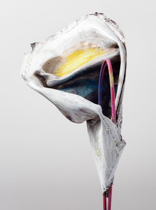 Elisa Lendvay Studio The Pool (and garden) 2025, and related, selecting images 