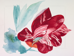 Elise Ansel Watercolors watercolor on Arches