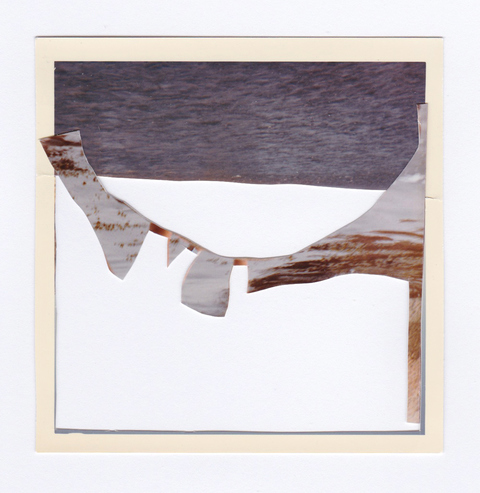 W39 Shadow Boxes Photographs