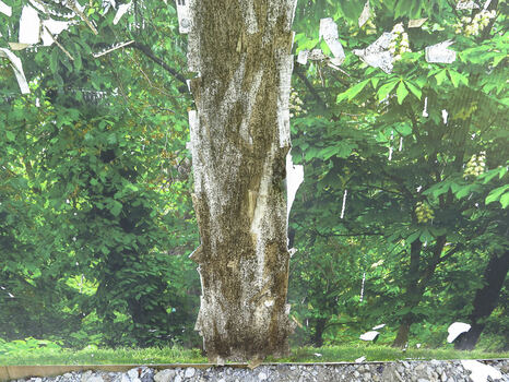 Elizabeth M. Williams Photography:  Regarding Human Perception Landscapes (click on images to enlarge) 