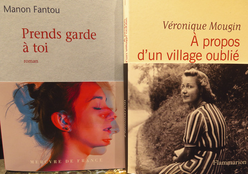 Elizabeth M. Williams Photography:  Regarding Human Perception Bookscapes 1 (click on images to enlarge) 